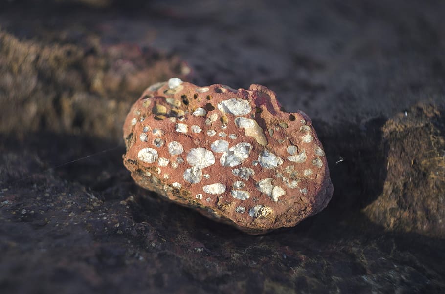 rock, rock - object, solid, close-up, selective focus, nature HD wallpaper