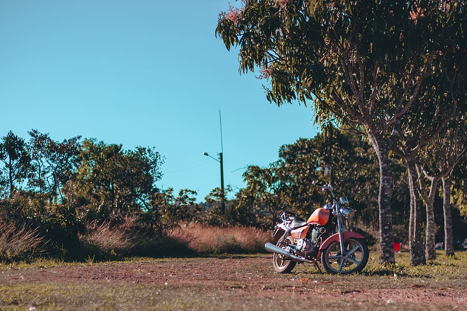 Red Motorcycle Parked Under Tree, action, biker, cyclist, grass HD wallpaper
