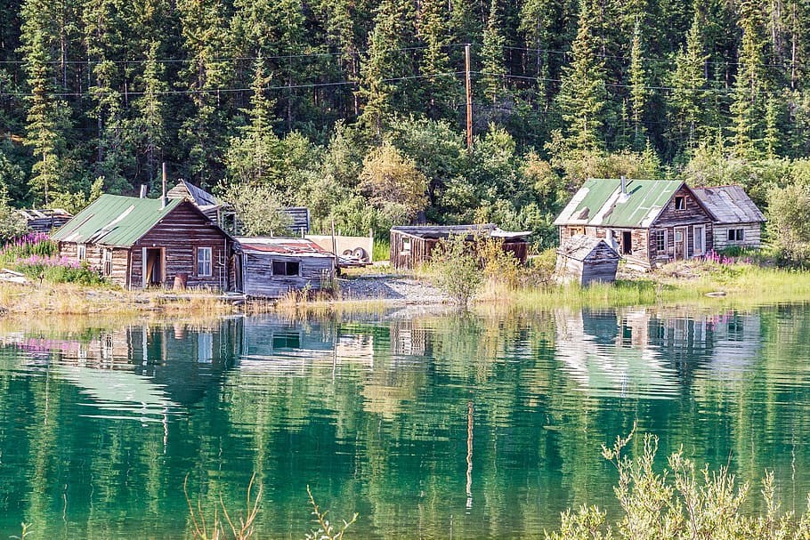house, lake, forest, summer, sunshine, landscape, nature, trees HD wallpaper