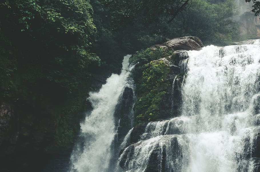 waterfalls, outdoors, nature, river, vegetation, plant, bush HD wallpaper