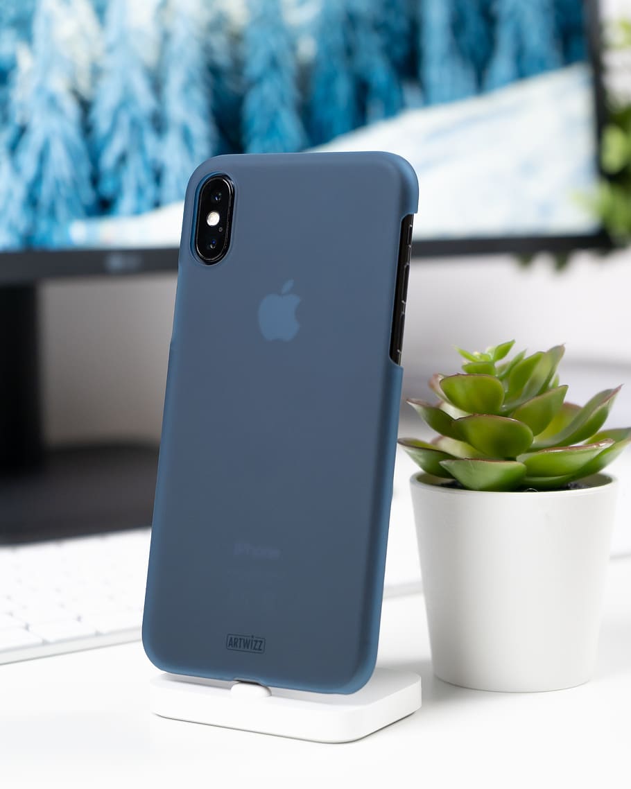 black iPhone Xs with blue case near green succulent plant, technology