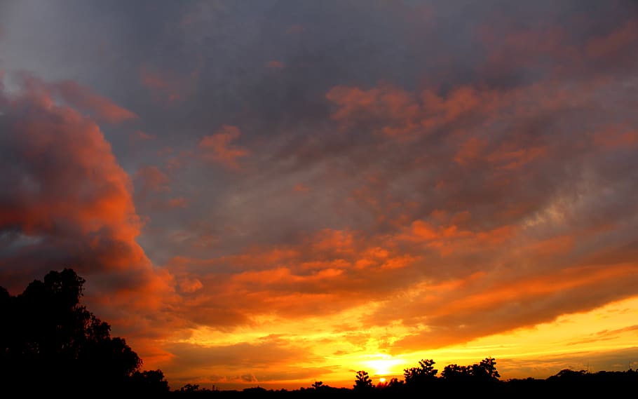 bangladesh, sylhet, sunset, tree, evening, sky, cloud - sky, HD wallpaper