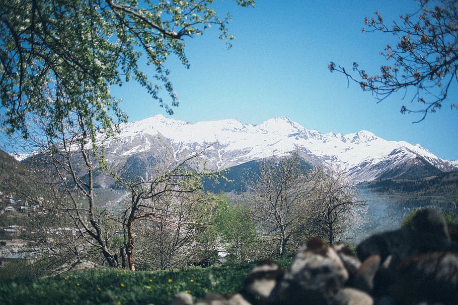 White Mountain and Trees, altitude, cold, daylight, glacier, high HD wallpaper