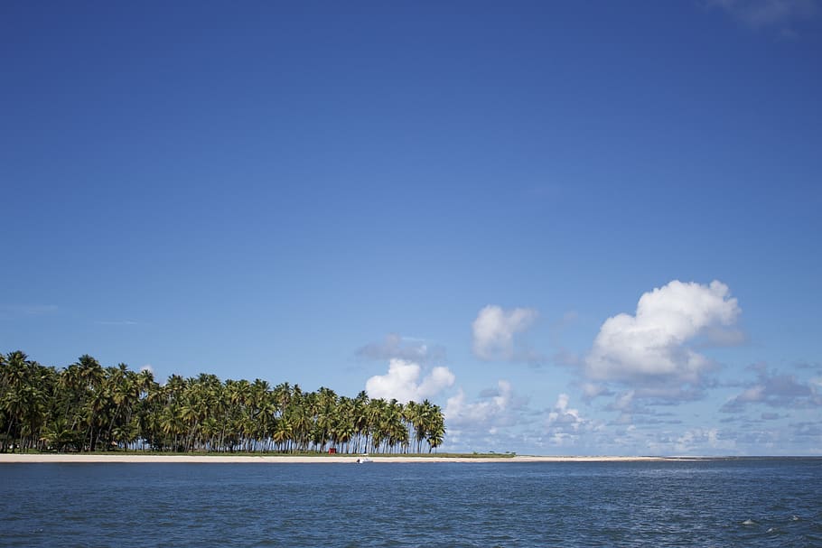 beach, sky, blue, tropical, peaceful, clouds, nature, summer HD wallpaper