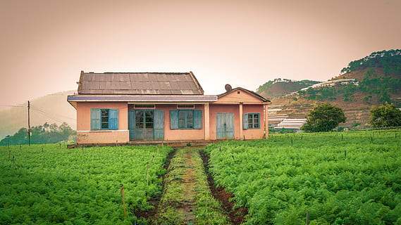 house, dalat, architecture, building exterior, built structure HD wallpaper