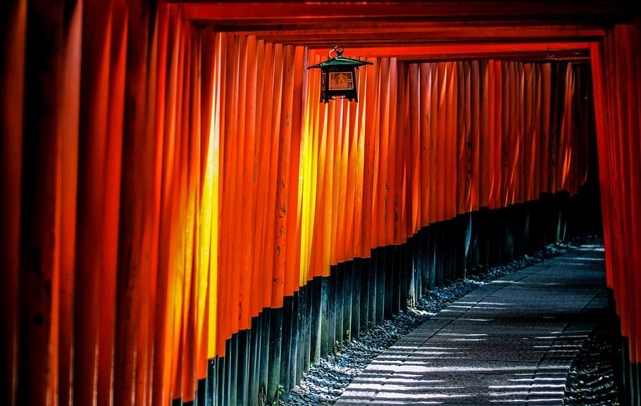 gray concrete path, japan, silent, wood, gate, torii, red, travel HD wallpaper