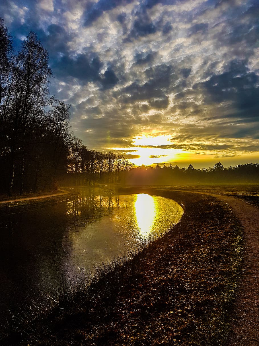 landscape, sun, sunset, nature, sky, clouds, blue, forest, trees HD wallpaper