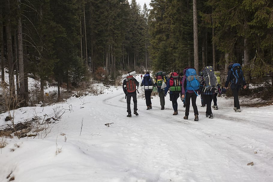 Mountaineers Walking on Snow, backpack, cold, daylight, environment HD wallpaper