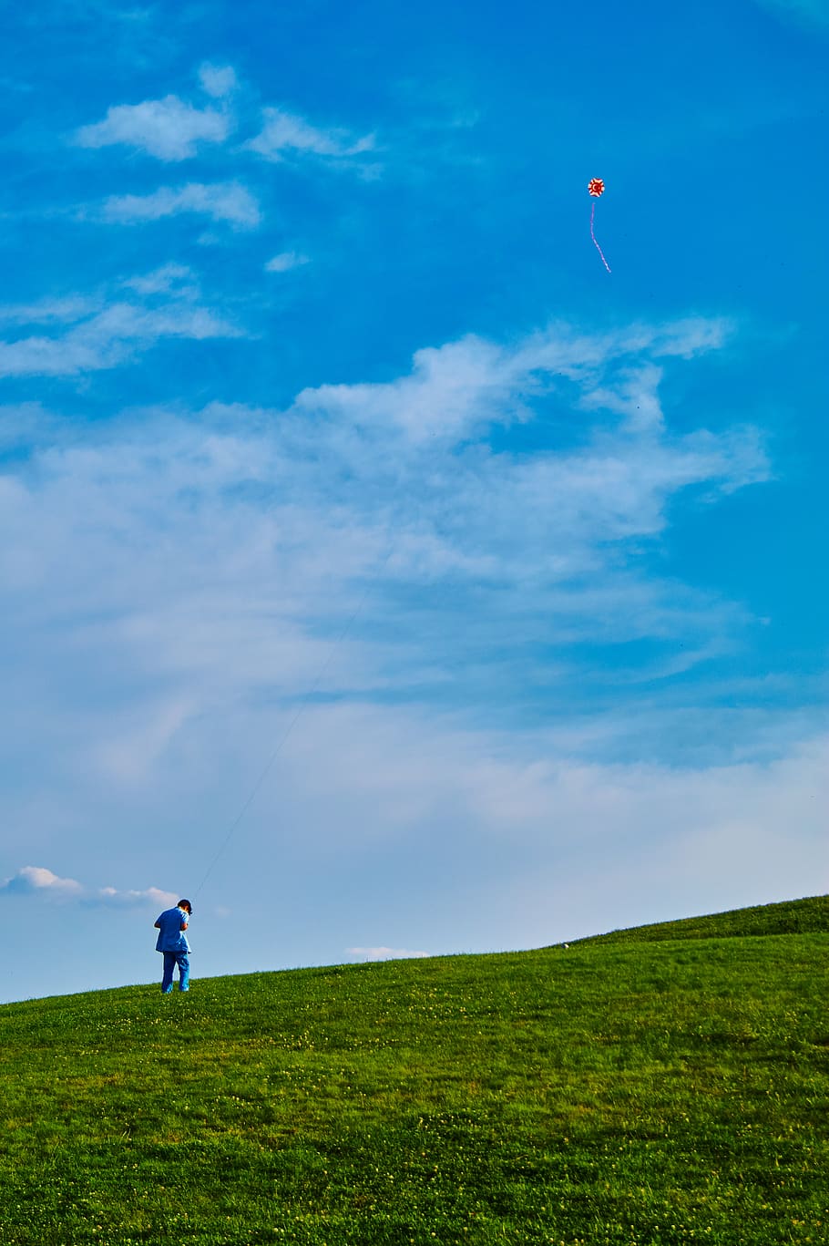 Photo of Kid on Grass Field Flying Kite, blue sky, boy, child HD wallpaper