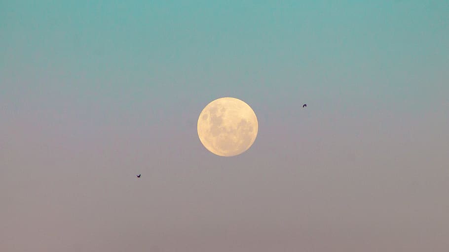 uruguay, montevideo, sky, moon, low angle view, beauty in nature, HD wallpaper