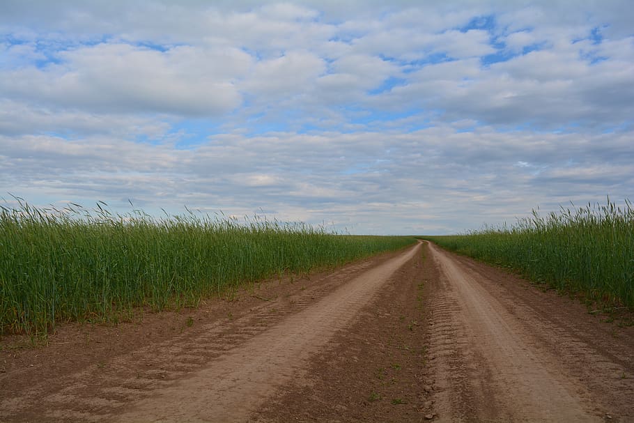 the way, road, landscape, sky, field, in the summer of, atmosphere, HD wallpaper