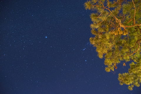 philippines, baguio, astronomy, night, space, star - space HD wallpaper