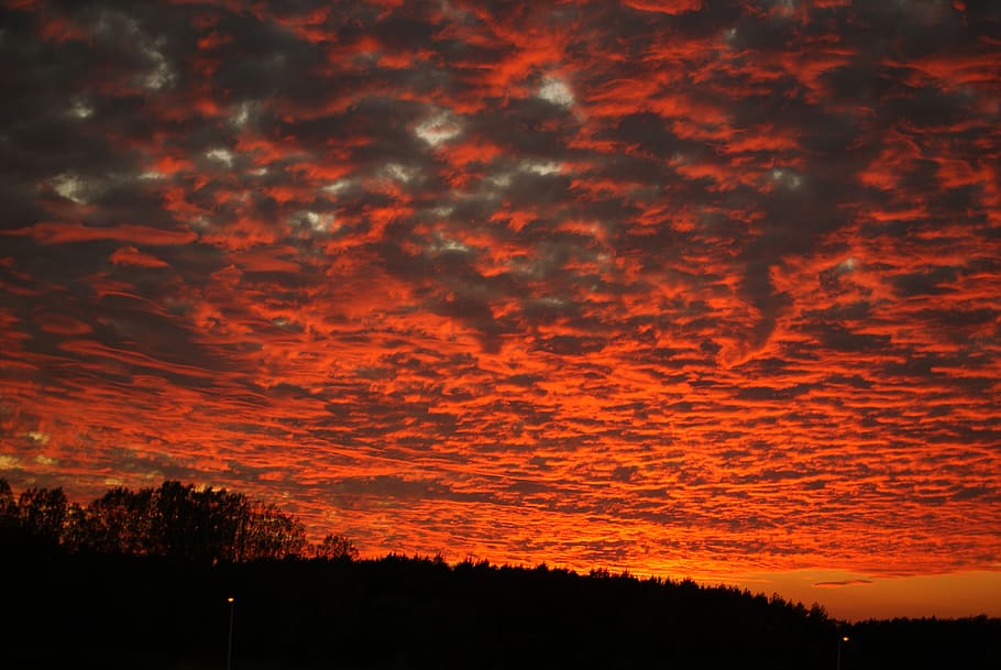 sky, clouds, red, evening, sunset, beauty in nature, cloud - sky HD wallpaper