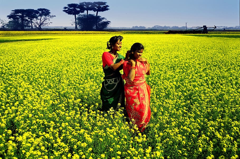bangladesh, village, women, field, plant, land, real people, HD wallpaper