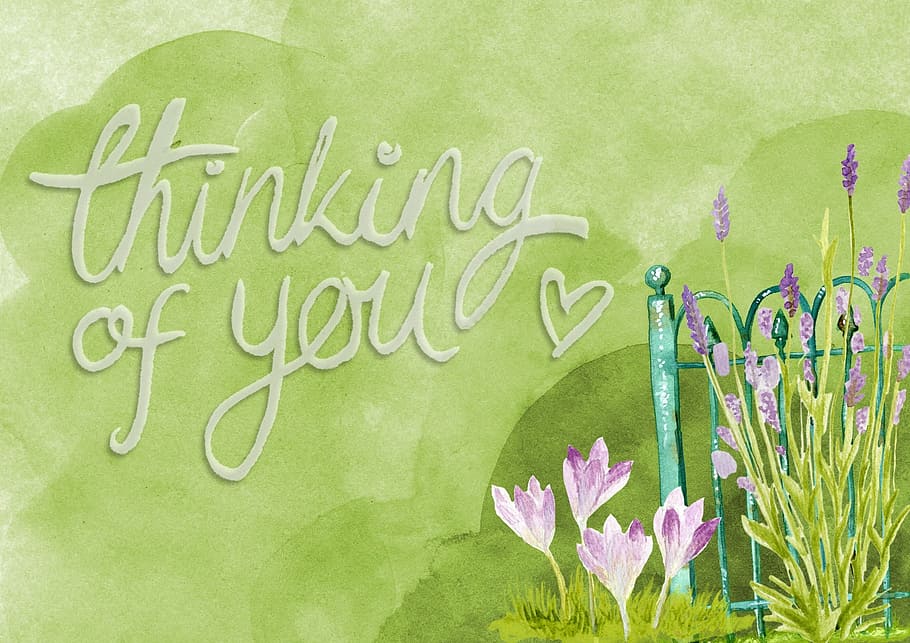 card, wish, paper, graphics, plant, flower, text, communication HD wallpaper