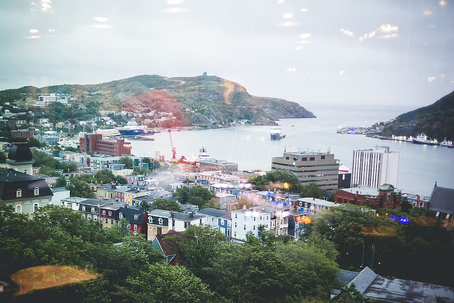 canada, st. john's, building exterior, architecture, plant, HD wallpaper