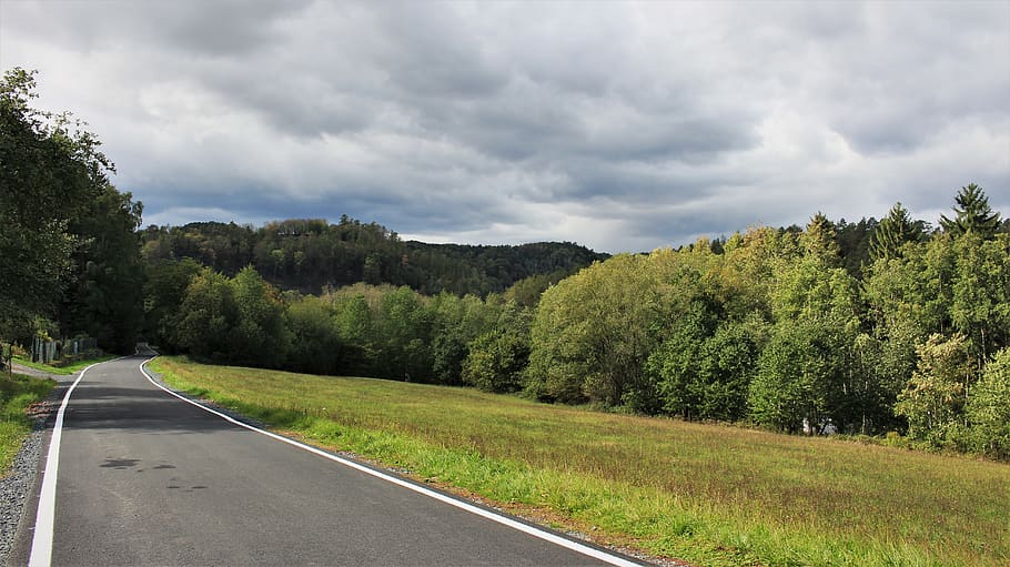 tree, plant, cloud - sky, road, transportation, nature, green color HD wallpaper