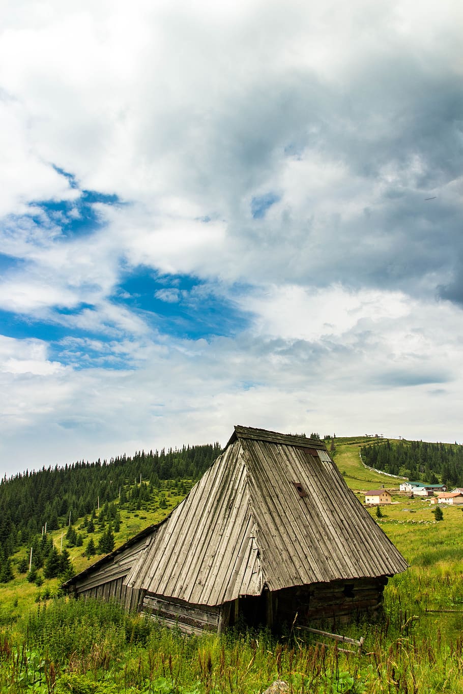 romania, băișoara, forest, clouds, sky, nature, mountain HD wallpaper