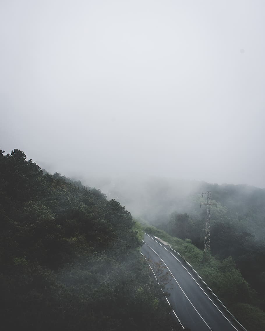 Road Beside Trees during Day, asphalt, daylight, environment HD wallpaper