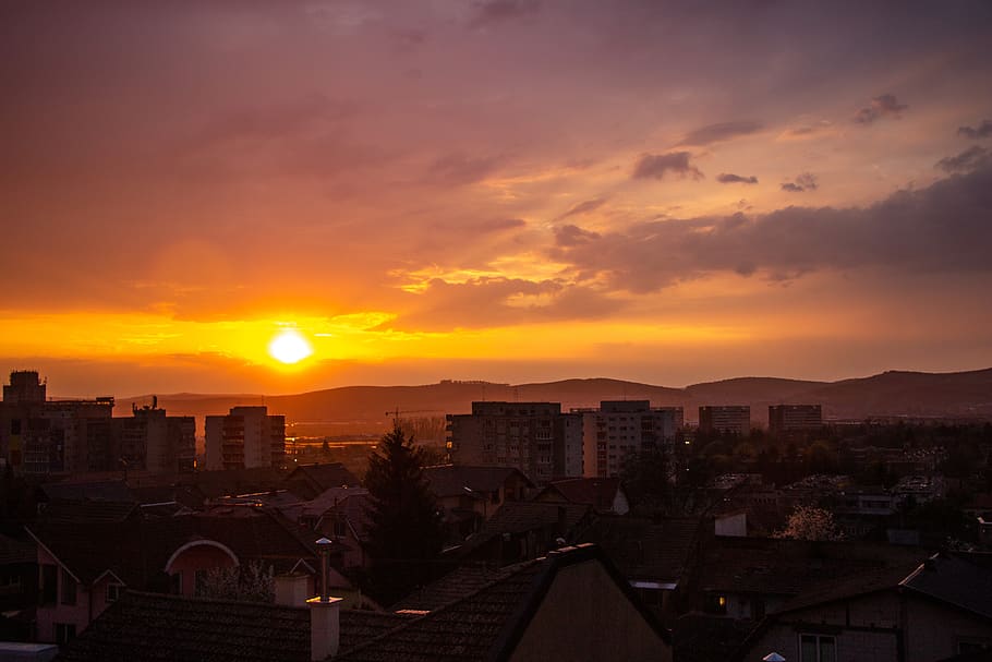 sunlight, sunset, evening, gold hour, golden, urban, urban life HD wallpaper