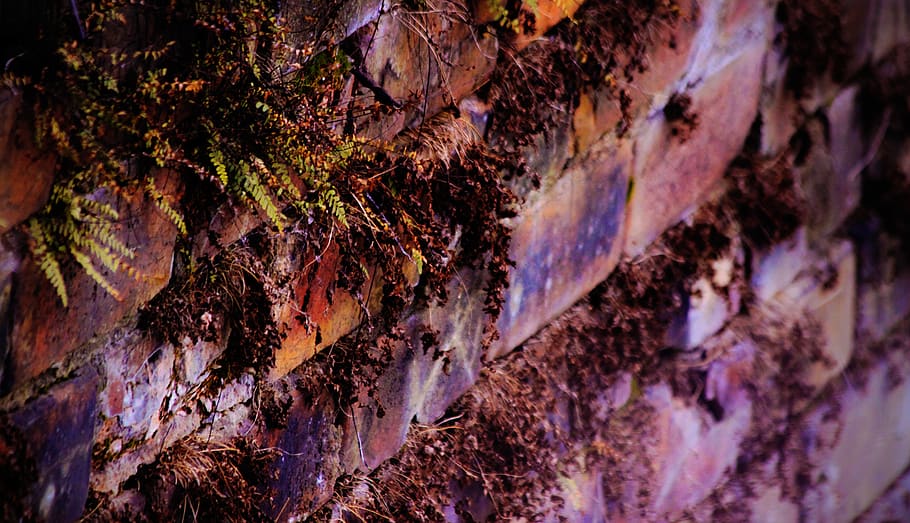 brick wall, wallpaper, rock, trunk, tree trunk, nature, rock - object HD wallpaper