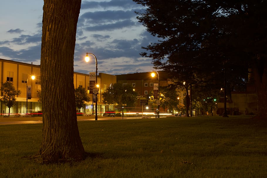 united states, hamilton, trees, sky, lights, night, illuminated HD wallpaper