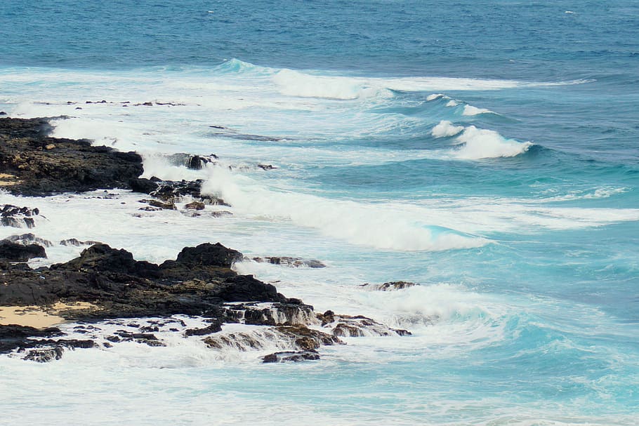 sea, water, motion, beauty in nature, wave, beach, scenics - nature HD wallpaper
