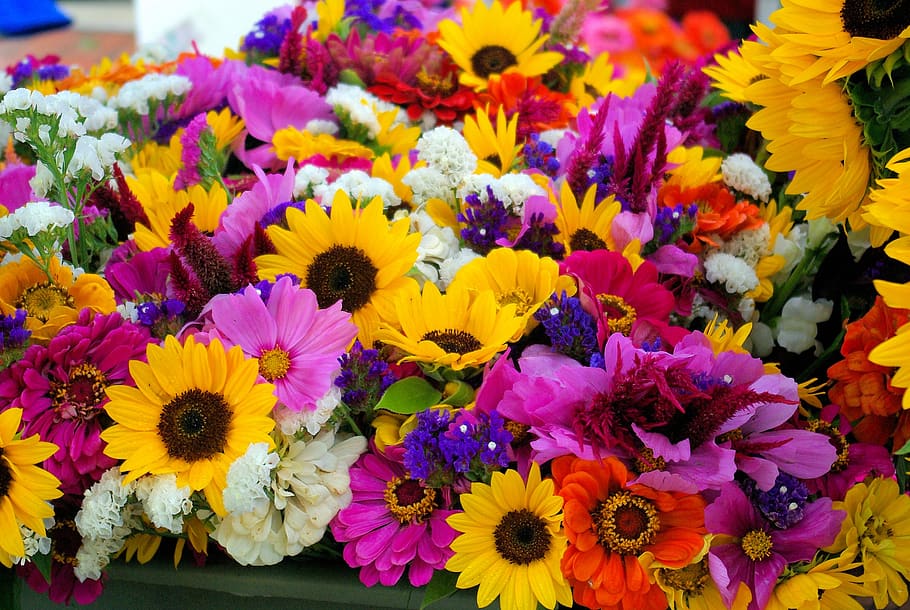 farmers market mixed flowers, sunflowers, dane, county, madison, HD wallpaper