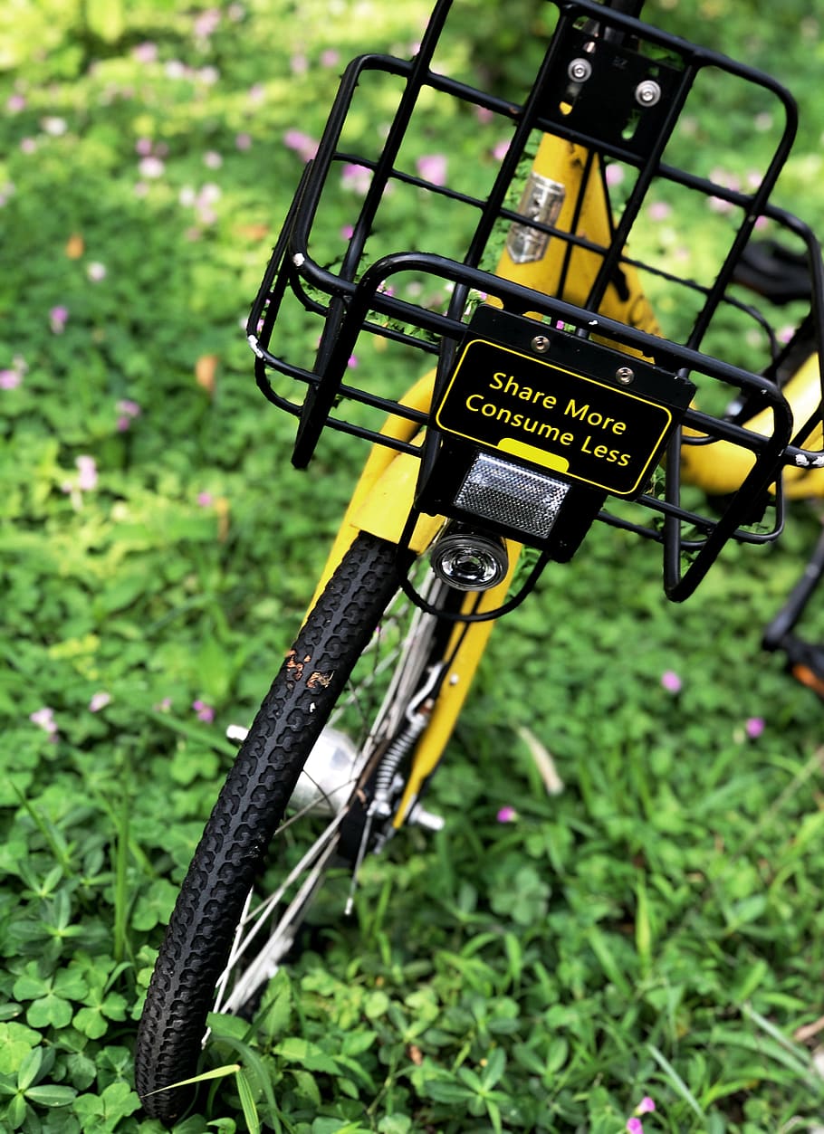 bike on grass field, bicycle, transportation, vehicle, hong kong
