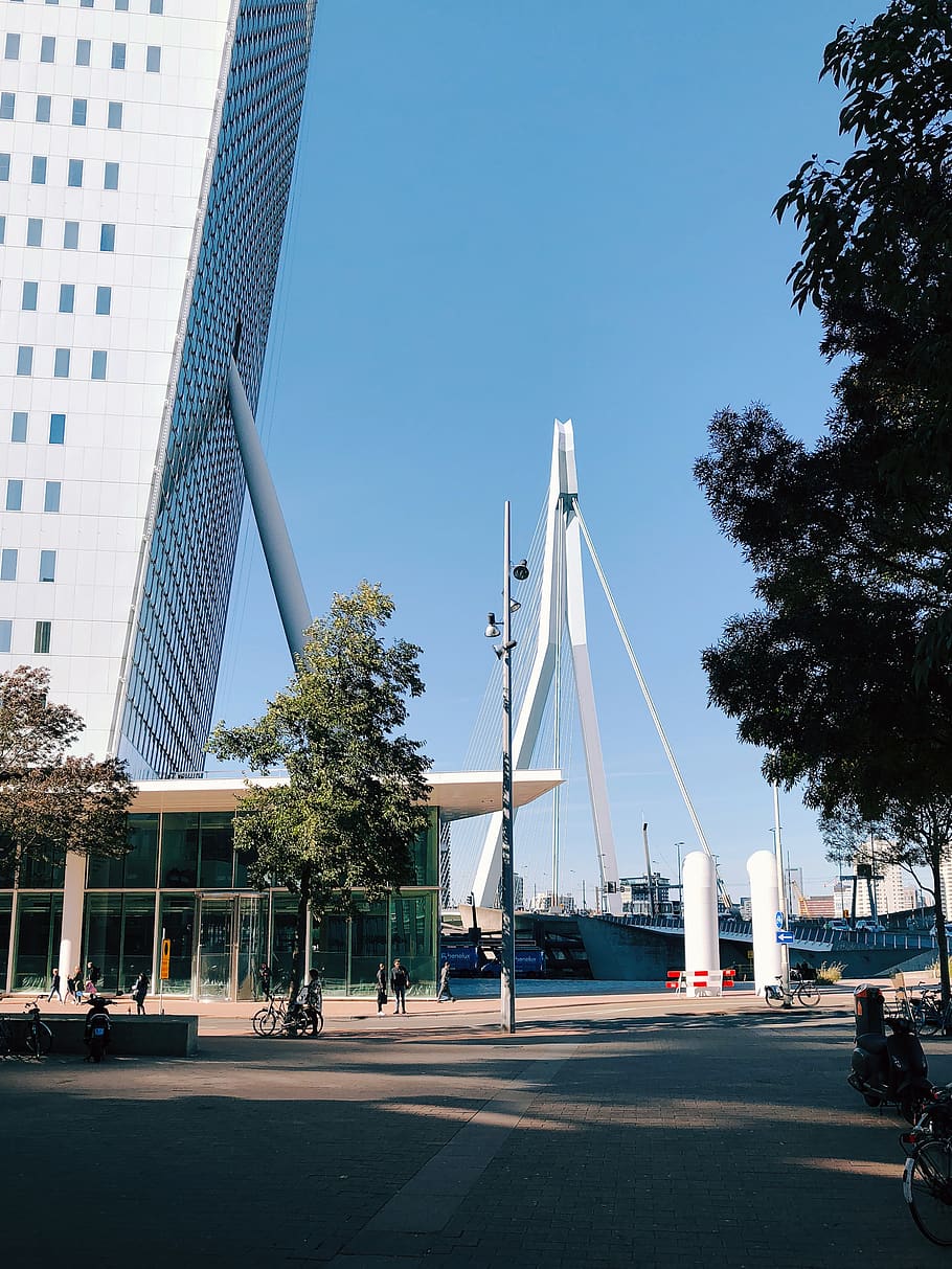 netherlands, rotterdam, erasmusbrug, architecture, built structure HD wallpaper