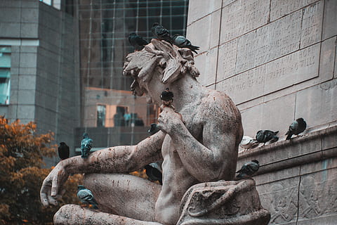 A Sculpture With Pigeons , 4k wallpaper, animal, architectural HD wallpaper