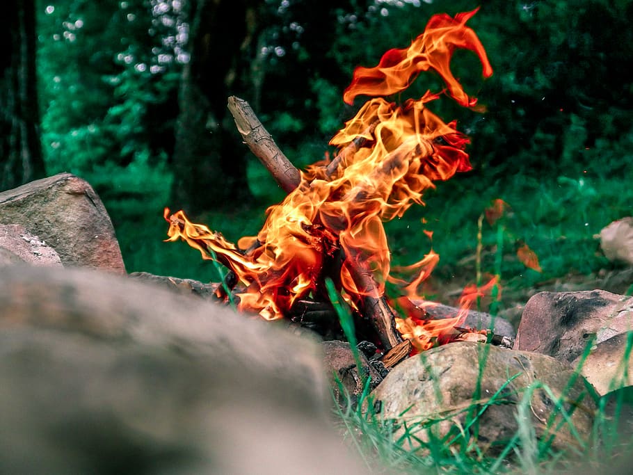 Macro Shot Photography of Bonfire, blur, burning, colors, daytime HD wallpaper