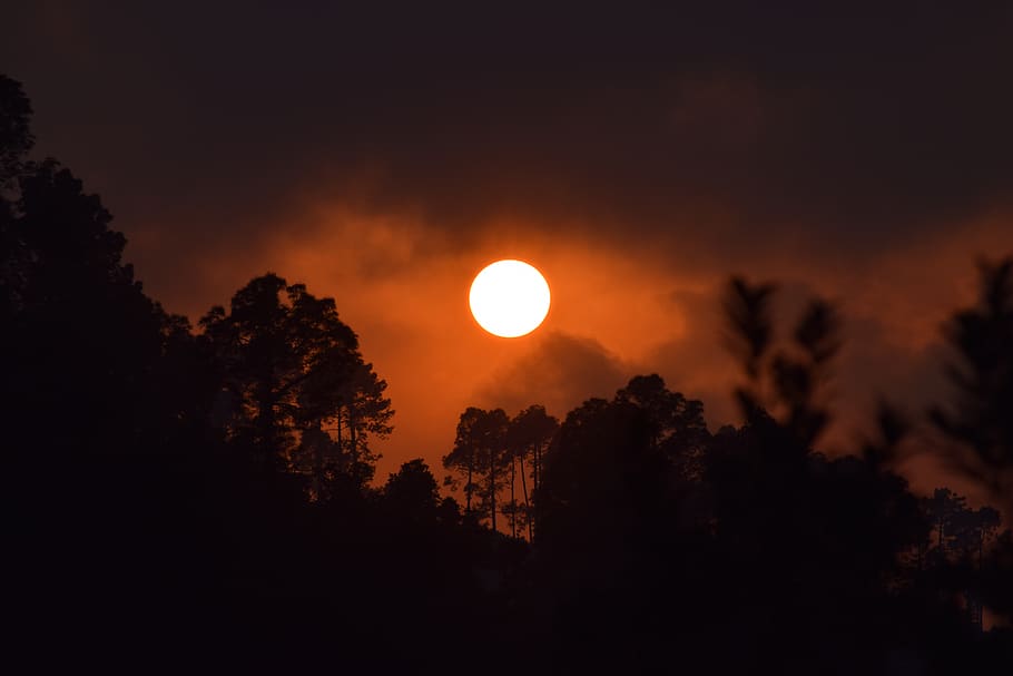 india, nainital, trees, sunset, forest, mountain, hills, sky HD wallpaper