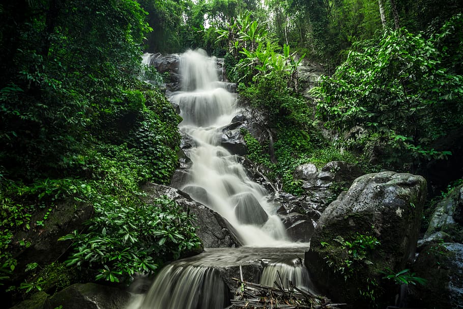 waterfalls, tree, forest, motion, beauty in nature, scenics - nature HD wallpaper
