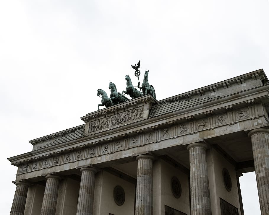 architecture, building, bird, animal, pillar, column, germany HD wallpaper