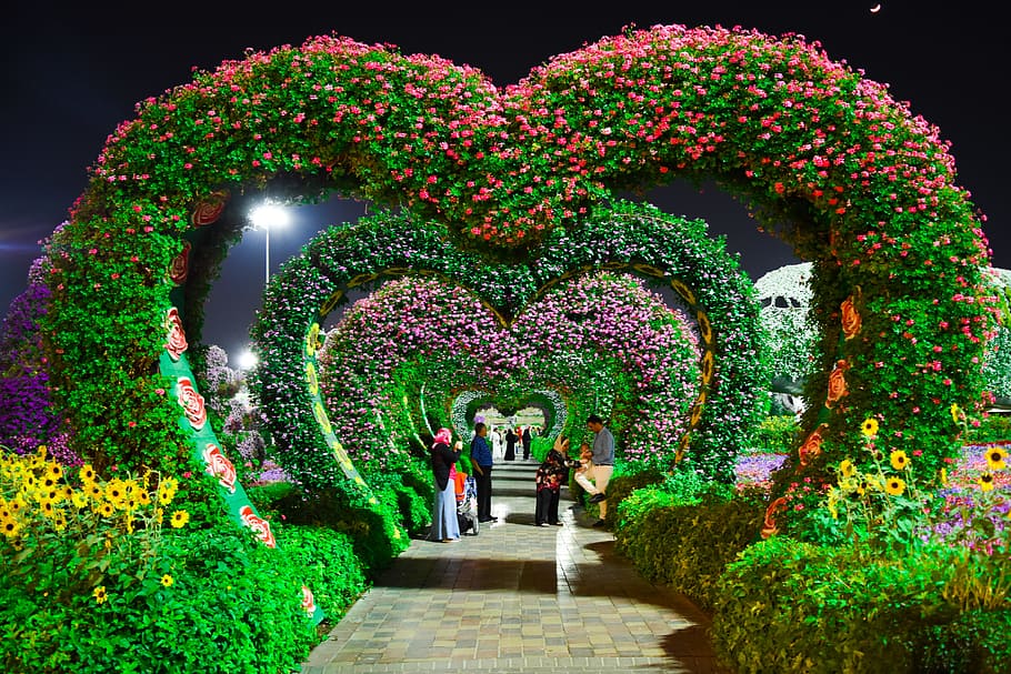 Heart-shaped Pink and Purple Flower Garden, architecture, decoration