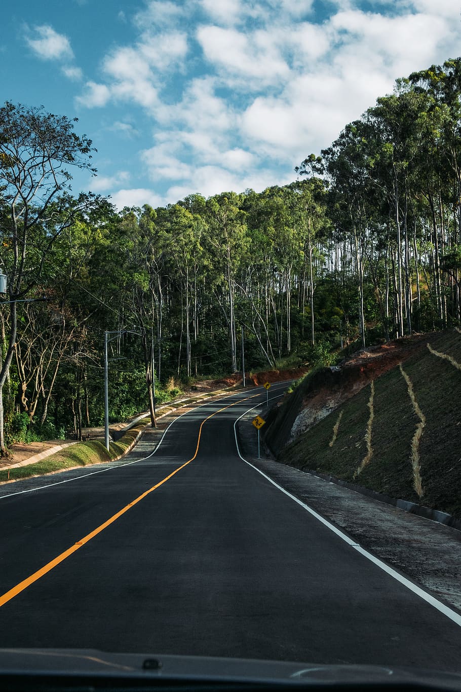green leafed trees beside road during daytime, transportation HD wallpaper