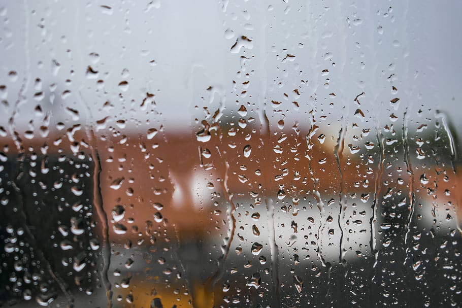 glass with raindrops, wet, water, window, glass - material, transparent HD wallpaper