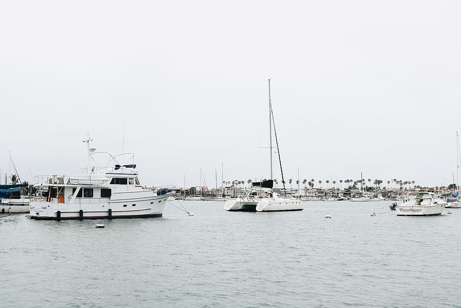 white sailboats, nautical vessel, transportation, water, mode of transportation HD wallpaper