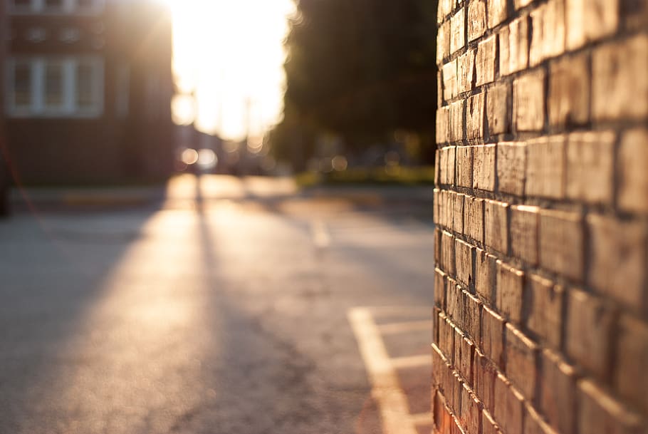 Close-up Photography of Brickwall, asphalt, blur, bricks, depth of field HD wallpaper