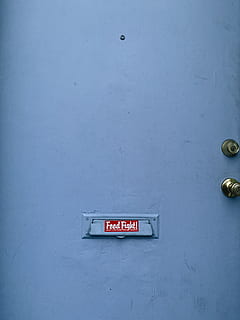 red Feed Fight logo, text, label, 2715 se belmont st, portland HD wallpaper