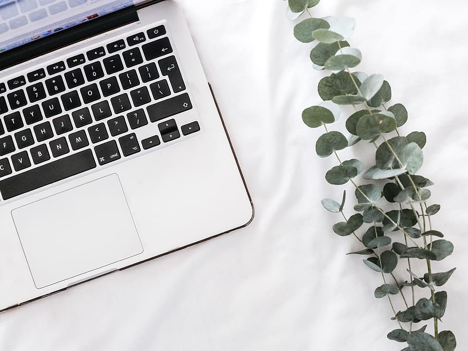 turn-on gray laptop, computer keyboard, electronics, hardware HD wallpaper