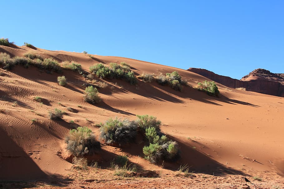 usa, dune, sand, desert, nature, landscape, nevada, america, HD wallpaper