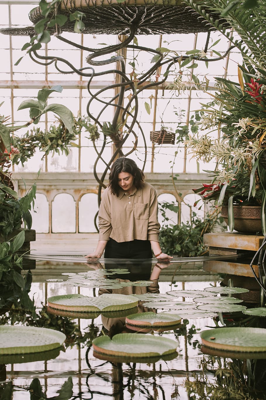 standing woman leaning on fountain with lily pads, lilies, water lily, HD wallpaper