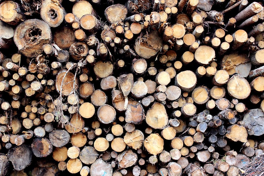 austria, ehrwald, trees, forest, wood, timber, log, large group of objects HD wallpaper