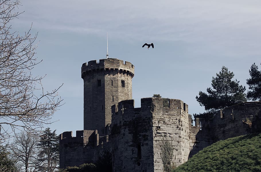 castle, eagle, flying, sky, epic, old, ancient, warwick, keep
