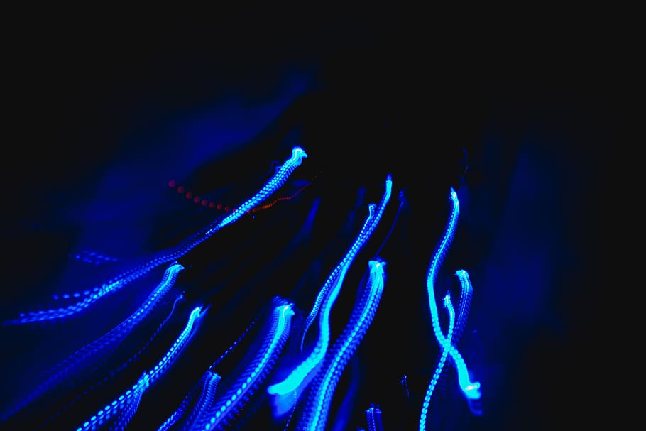 blue, illuminated, abstract, motion, black background, glowing HD wallpaper