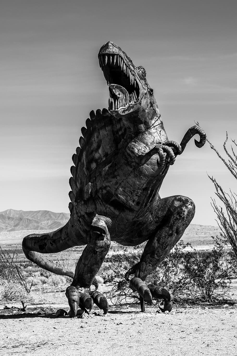 grayscale photo of dinosaur, usa, galleta meadows, travel, overland, HD wallpaper