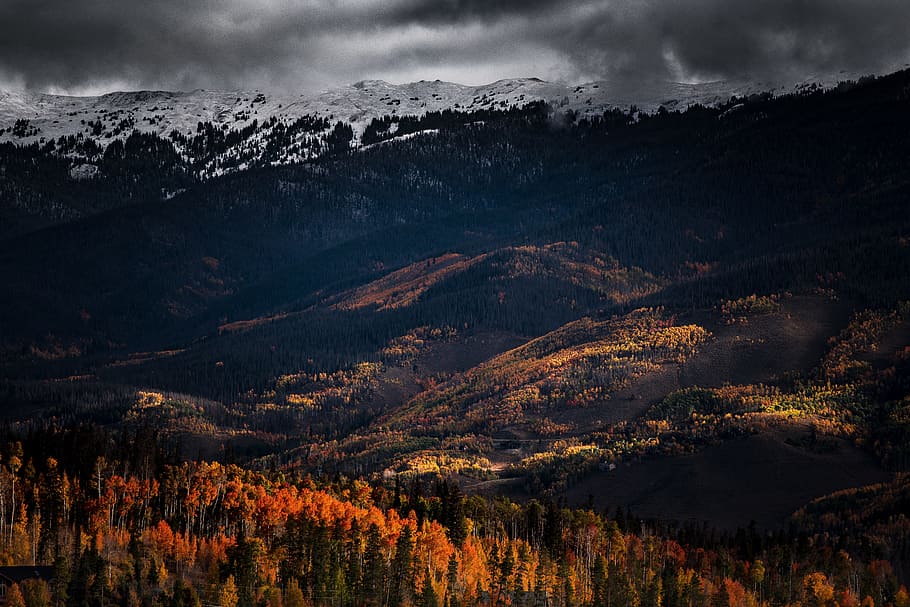 mountain, valley, trees, landscape, nature, view, cloudy, autumn HD wallpaper