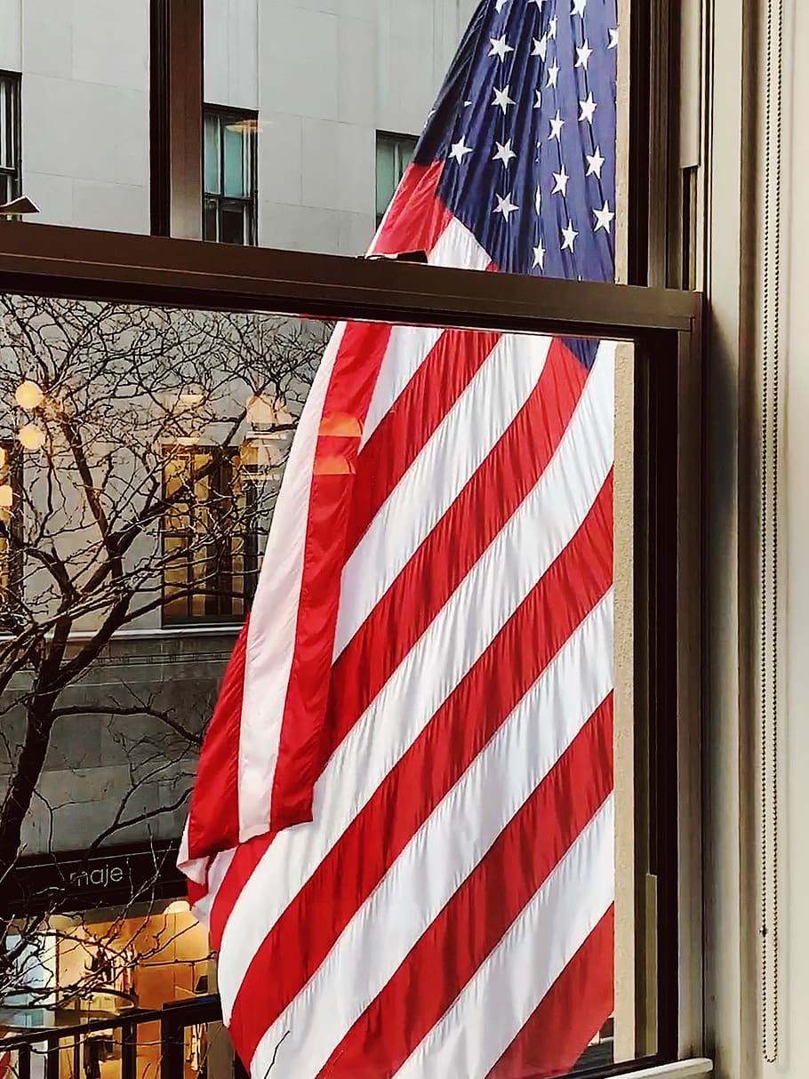 American flag outside window, symbol, patriot, home decor, plant, HD wallpaper